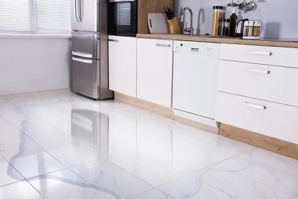 refrigerator-leaking-water-thumb